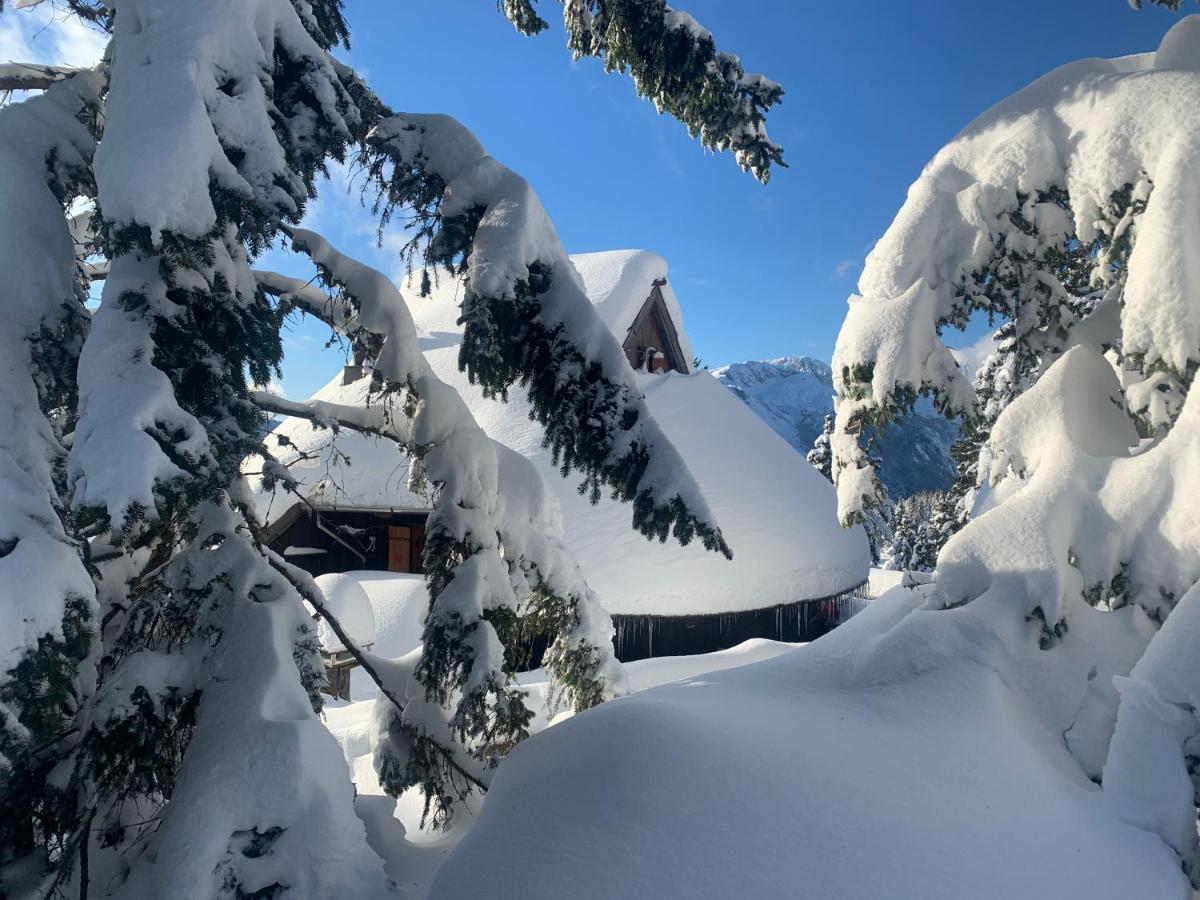 Stahovica Velika Planina - Chalet Stane - Alps מראה חיצוני תמונה