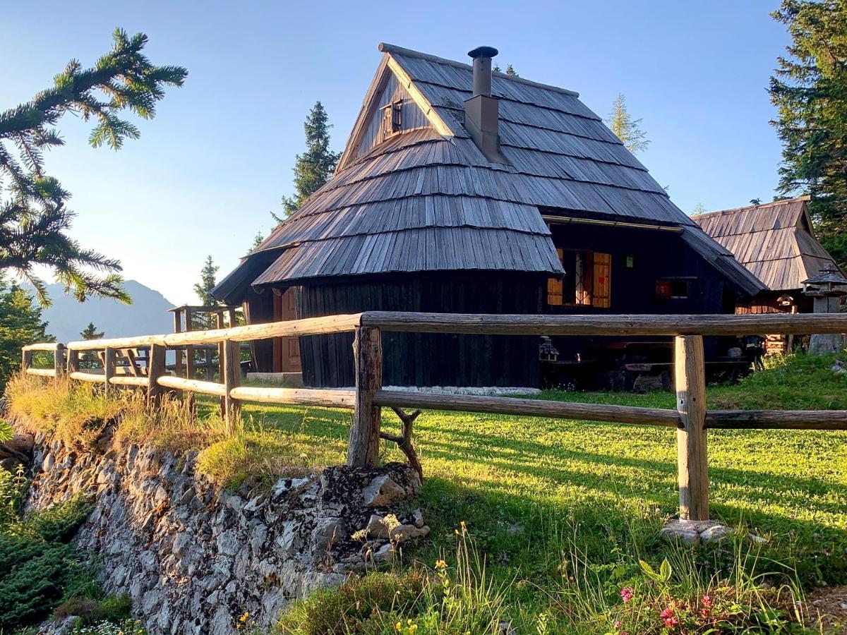 Stahovica Velika Planina - Chalet Stane - Alps מראה חיצוני תמונה