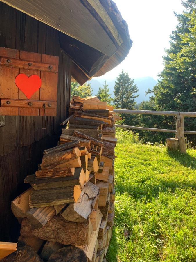 Stahovica Velika Planina - Chalet Stane - Alps מראה חיצוני תמונה