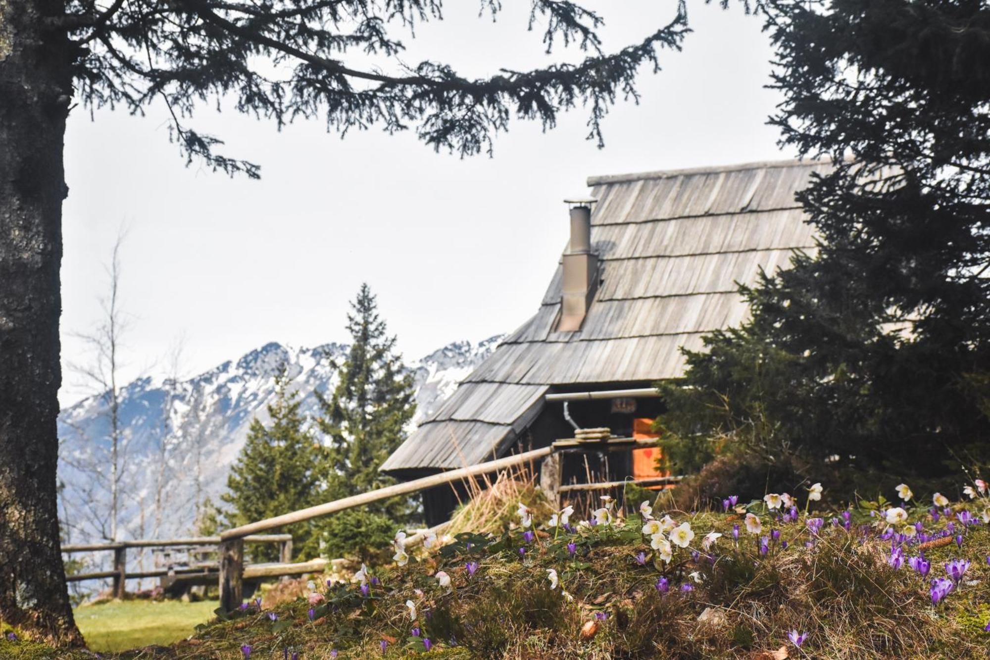 Stahovica Velika Planina - Chalet Stane - Alps מראה חיצוני תמונה