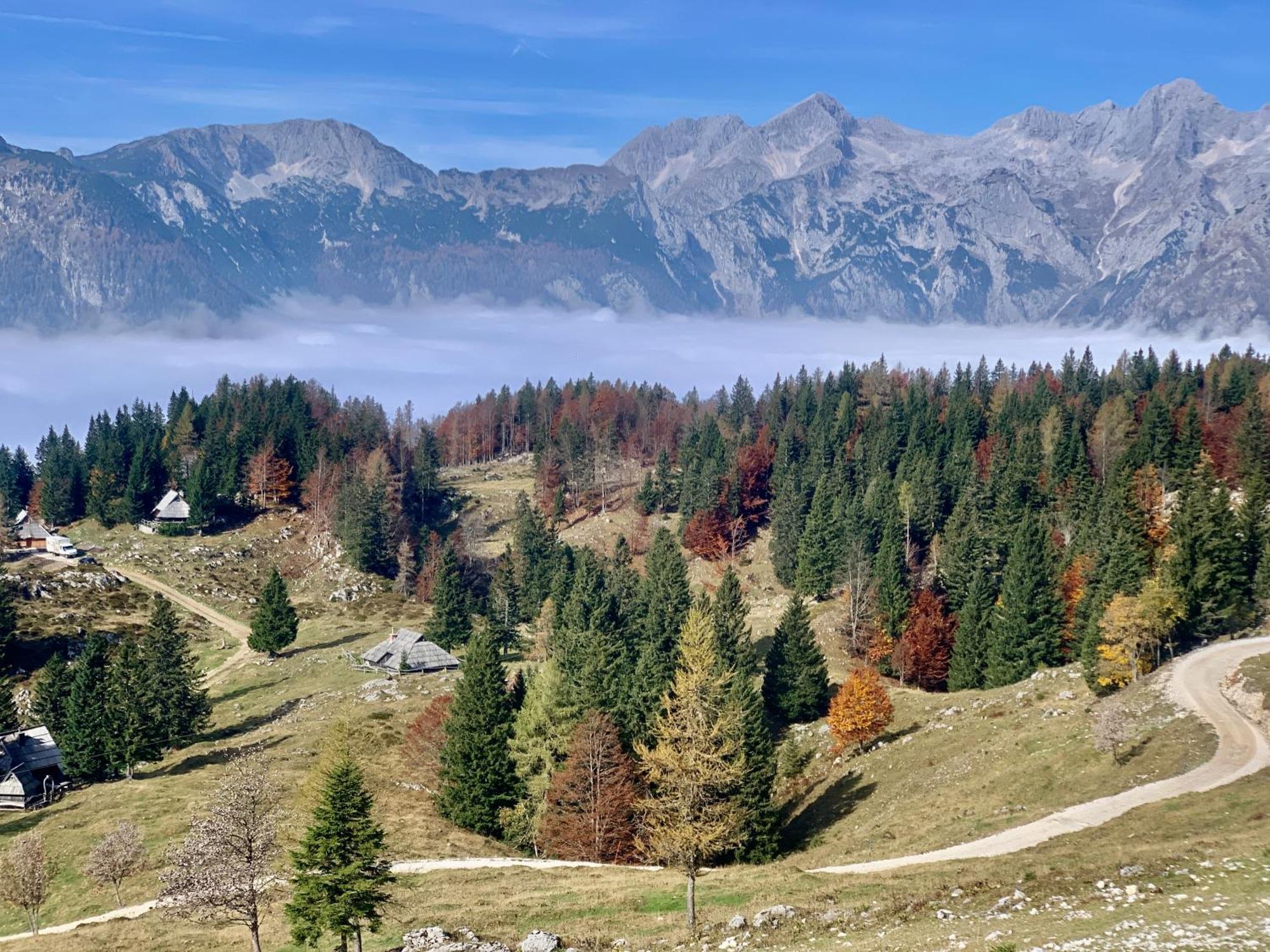 Stahovica Velika Planina - Chalet Stane - Alps מראה חיצוני תמונה