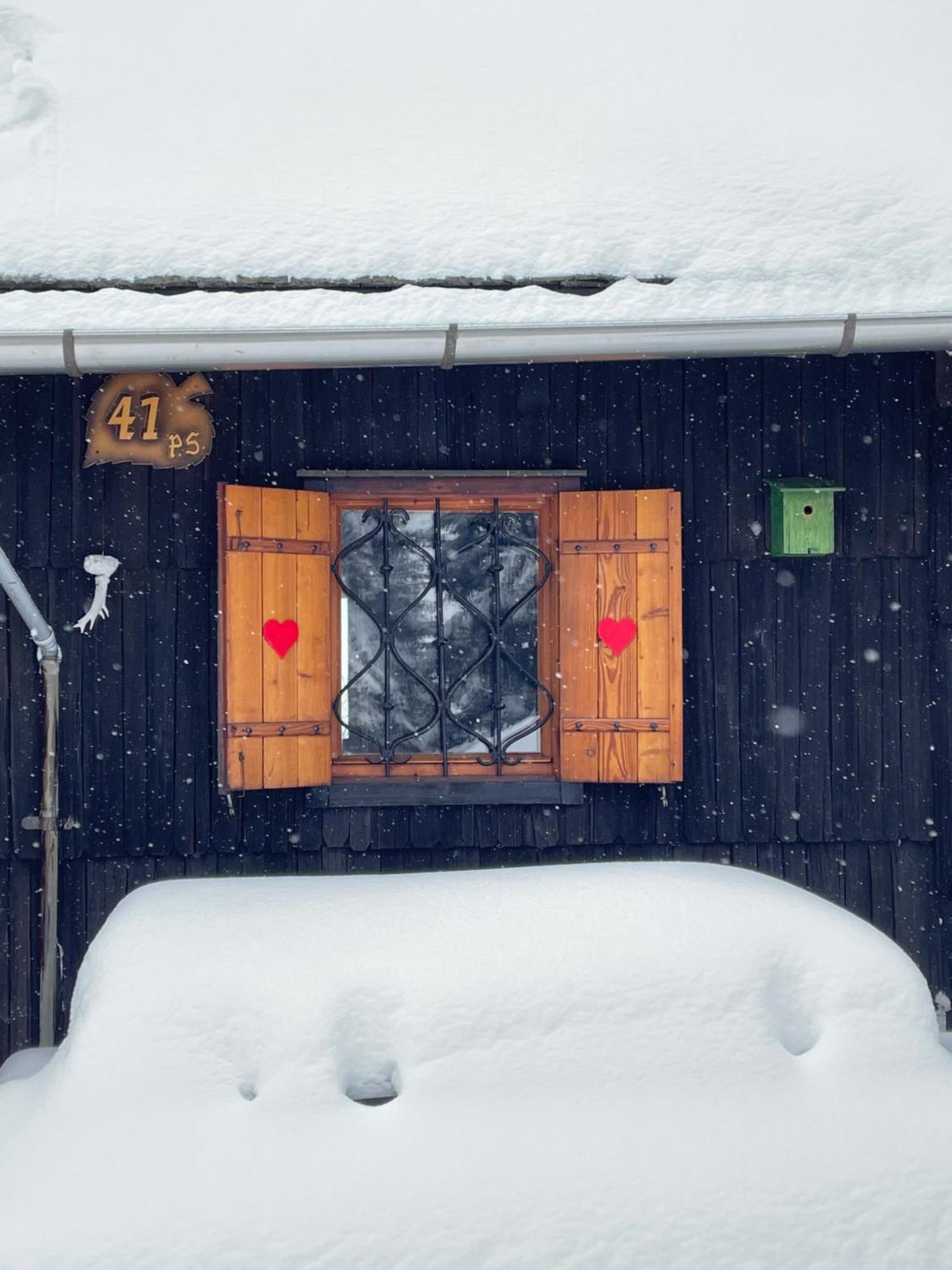 Stahovica Velika Planina - Chalet Stane - Alps מראה חיצוני תמונה