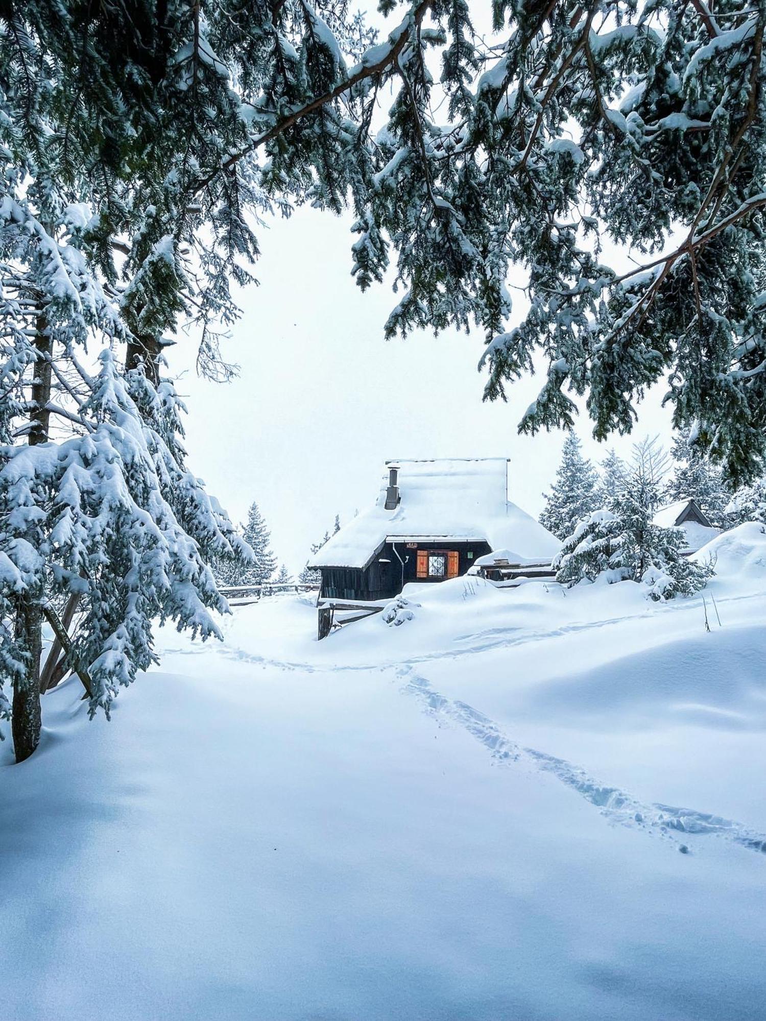 Stahovica Velika Planina - Chalet Stane - Alps מראה חיצוני תמונה